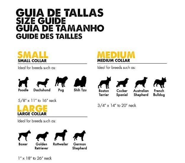 Zee.Dog Skull Collar 3 Zee.Dog Skull Collar - Image 3