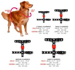 Zee.Dog Volt Harness -Zee.Dog A TALLAS H HARNESS 0c16da38 108f 4ea3 b3a0 979a50cf412e