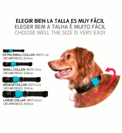 Zee.Dog Solaris Collar 6 Zee.Dog Solaris Collar -Zee.Dog A TALLAS COLLARES 6ab23d1a 513b 43d9 8ba7 e13d445d9b01