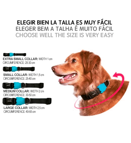 Zee.Dog Collar Apache 3 Zee.Dog Collar Apache - Image 3