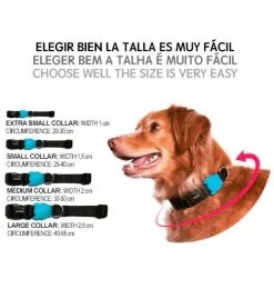 Zee.Dog Phantom Collar -Zee.Dog c1185cb63f4933144e5ae925f3df1718