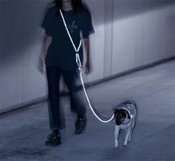 Hands-Free Reflective Leash NOX -Zee.Dog nox zeedog hand free 3