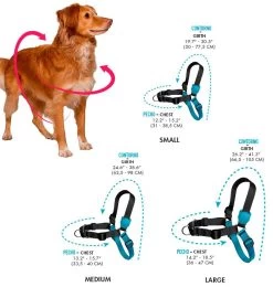 Zee.Dog Fatboy Soft-Walk Harness -Zee.Dog size guia zeedog soft walk 1e841abb ae09 4b98 9854 6d2afb5491d6