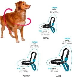 ZeeDog Pink Led Soft Walk -Zee.Dog size guia zeedog soft walk d10e3191 f8d1 4c52 9044 9a314c614dec