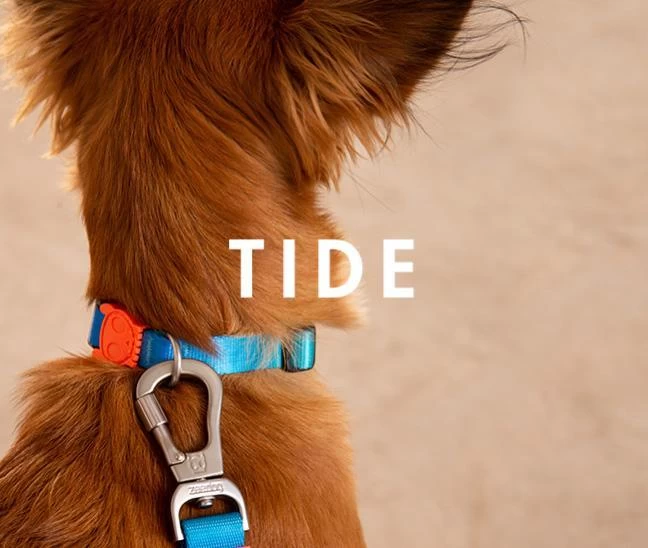 Zee.Dog Tide Collar 2 Zee.Dog Tide Collar - Image 2