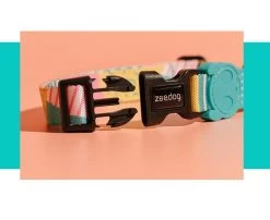 Zee.Dog Salina Collar -Zee.Dog zee dog collar perro cao salina 2