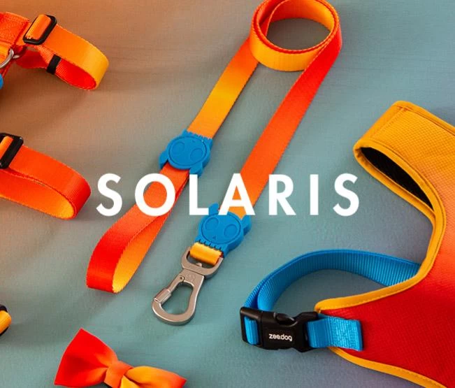 Zee.Dog Solaris Collar 4 Zee.Dog Solaris Collar - Image 4