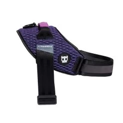 Zee.Dog Wicked FlyHarness