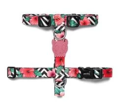 Zee.Dog Mahalo H Harness