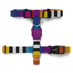 Zee.Dog Prisma H Harness
