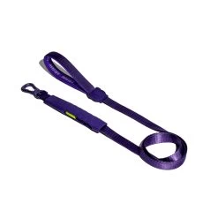 Violet Airleash