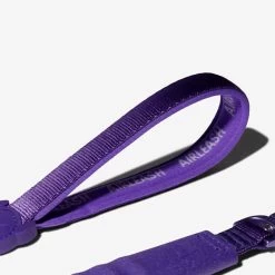 Violet Airleash -Zee.Dog zeedog air leash violet perro3