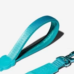 Airleash Leash Blue -Zee.Dog zeedog airleash blue correa perro3