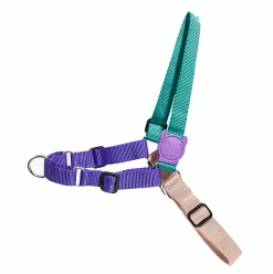 ZeeDog Boogie Soft Walk