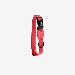 ZeeDog Collar Neon Coral -Zee.Dog zeedog dog collar neon coral
