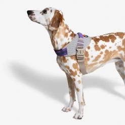 Zee.Dog -Zee.Dog zeedog flyharness AGC 2
