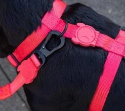 Zee.Dog Neon Coral Harness -Zee.Dog zeedog h harness neon coral arnes3