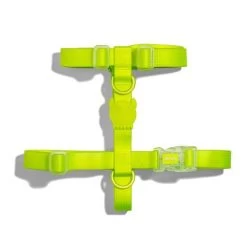 Zee.Dog Neopro Lime Harness