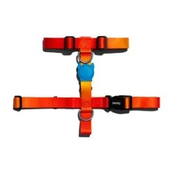 Zee.Dog Solaris H Harness