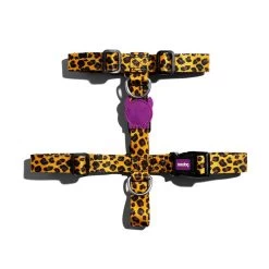 Zee.Dog Honey Harness
