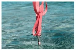 Zee.Dog Bubblegum Leash -Zee.Dog zeedog neopro BUBBLECORR 3