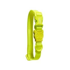 Zee.Dog Neopro Lime Collar