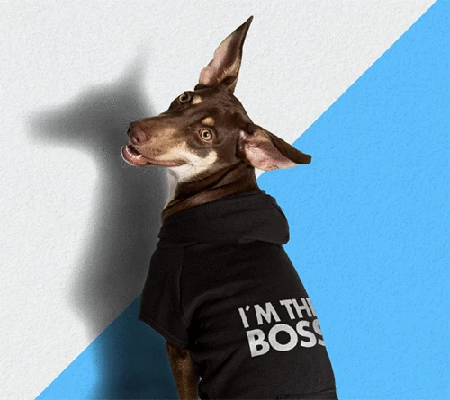 ZeeDog The Boss Hoodie 2 ZeeDog The Boss Hoodie - Image 2